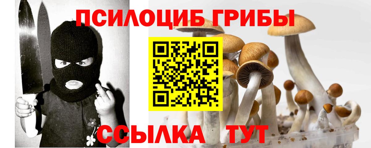 купить закладку  Вход с VPN  Ногинск  Галлюциногенные грибы MAGIC MUSHROOMS 